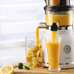 Elektrisk Juicemaskin - Kallpressad Juicepress 180W (220V)