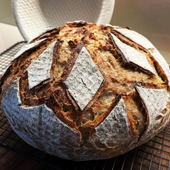 Brödkniv i rostfritt stål – tandad brödkniv med trähandtag och utbytbara blad